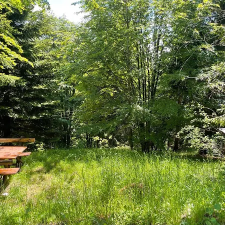 Kragovic * Копаоник