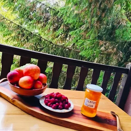 Дом отдыха Kragovic