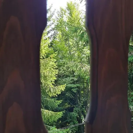 Дом отдыха Kragovic *