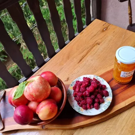 Kragovic Копаоник